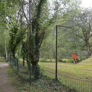 Northern Lynx Enclosure at Haute-Touche, 14/06/18