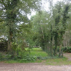 Timber Wolf Enclosure at Haute-Touche, 14/06/18