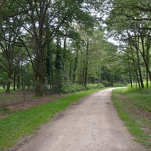 General View Between Deer and Carnivore Enclosures at Haute-Touche, 14/06/18