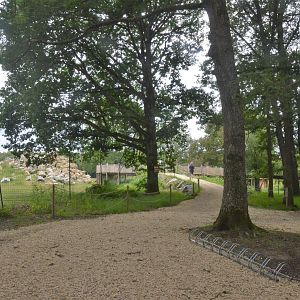 Approach to Himalayan Area at Haute-Touche, 14/06/18