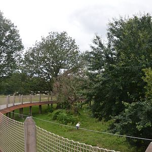 Red Panda/Reeves' Muntjac/Red-crowned Crane Enclosure at Haute-Touche, 14/06/18