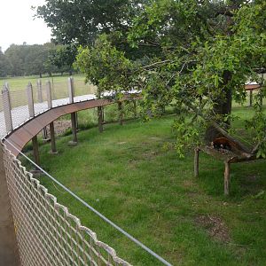 Red Panda/Reeves' Muntjac/Red-crowned Crane Enclosure at Haute-Touche, 14/06/18