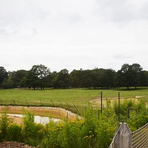 Pere David's Deer Paddock at Haute-Touche, 14/06/18