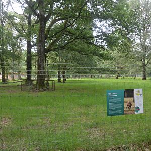 Hog Deer Enclosure at Haute-Touche, 14/06/18