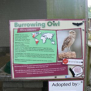 Example of Signage - 16 October 2018