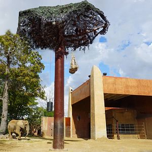 Oct. 2018 - Tembo Trail - Second Elephant Exhibit (Half an Acre)