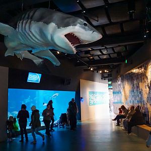 Oct. 2018 - The Aquarium - Entrance