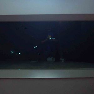 Oct. 2018 - The Aquarium - Flashlight Fish Tank