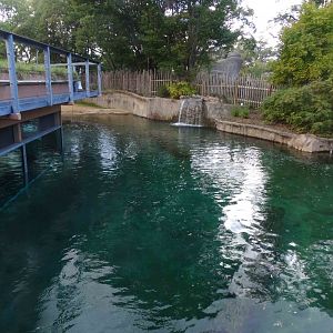 Oct. 2018 - Tembo Trails - Hippopotamus Exhibit From Elephant Viewing (From Unnoticeable Windows)