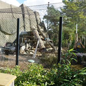 Oct. 2018 - Tiger Terrace - Cougar Exhibit