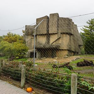 Oct. 2018 - Tiger Terrace - Spectacled Bear Exhibit