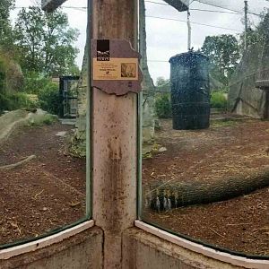 Oct. 2018 - Tiger Terrace - Amur Tiger Exhibit Panorama