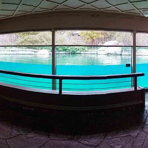 Oct. 2018 - Tembo Trail - Hippoquarium Panorama