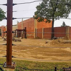 Oct. 2018 - Tembo Trail - First Elephant Exhibit (16,000 Sq. Ft.)