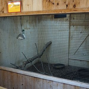 Oct. 2018 - Raptor Barn - Kenyan Crested Guineafowl Exhibit