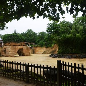 Giraffe and Zebra Enclosure at Doué-la-Fontaine, 15/06/18
