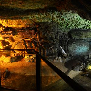 West African Dwarf Crocodile Enclosure at Doué-la-Fontaine, 15/06/18