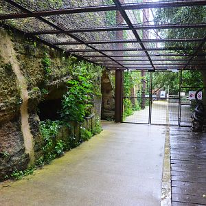 Okapi Sanctuary Aviary at Doué-la-Fontaine, 15/06/18