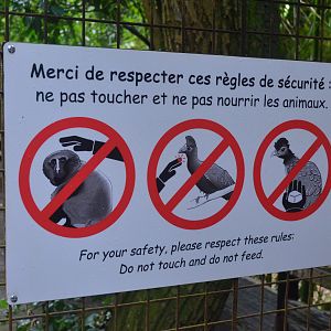Okapi Sanctuary Aviary at Doué-la-Fontaine, 15/06/18