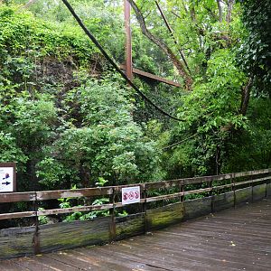 Okapi Sanctuary Aviary at Doué-la-Fontaine, 15/06/18