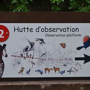 Okapi Sanctuary Aviary at Doué-la-Fontaine, 15/06/18