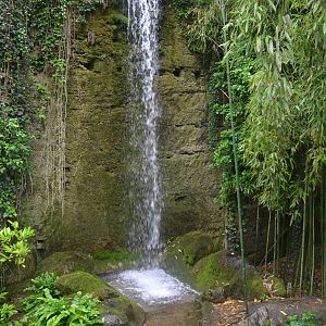 Okapi Sanctuary Aviary at Doué-la-Fontaine, 15/06/18