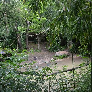 Okapi Sanctuary Aviary at Doué-la-Fontaine, 15/06/18