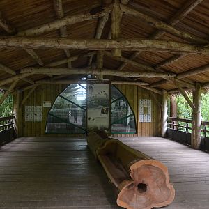 Okapi Sanctuary Aviary at Doué-la-Fontaine, 15/06/18