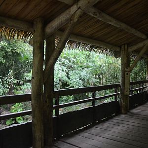 Okapi Sanctuary Aviary at Doué-la-Fontaine, 15/06/18