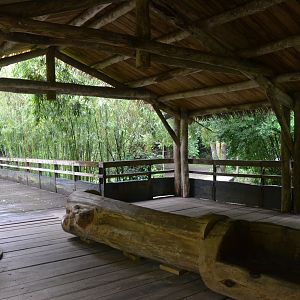 Okapi Sanctuary Aviary at Doué-la-Fontaine, 15/06/18
