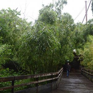 Okapi Sanctuary Aviary at Doué-la-Fontaine, 15/06/18