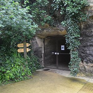 Leopard Canyon Entrance from Okapi Sanctuary Aviary at Doué-la-Fontaine, 15/06/18