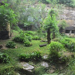 Javan Leopard Enclosure at Doué-la-Fontaine, 15/06/18