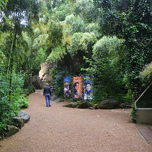 General View of Leopard Canyon at Doué-la-Fontaine, 15/06/18