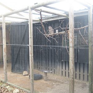 Dyreparken NBV - Owl aviary