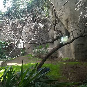 Ex-Gorilla Exhibit Aviary