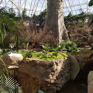 Ex-Gorilla Exhibit Aviary