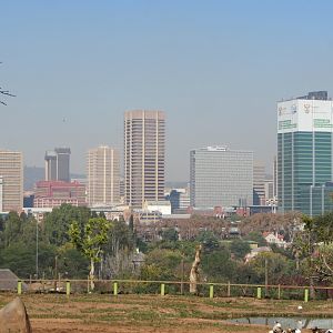 View of Downtown Pretoria from Top of Zoo