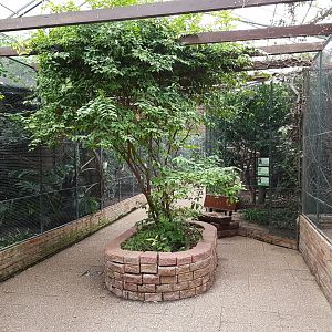 Aviaries in the Tropical House