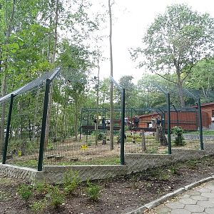 NEW in 2018: King colobus and Nubian ibex enclosures