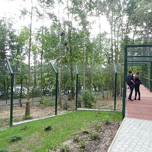 NEW in 2018: King colobus and Nubian ibex enclosures