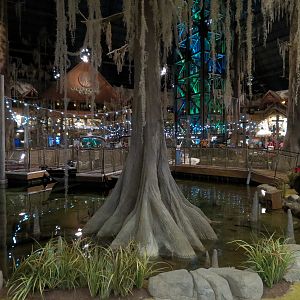 Memphis Bass Pro Shop - Native Fish Pond