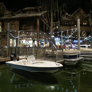 Memphis Bass Pro Shop - Native Fish Pond
