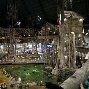 Memphis Bass Pro Shop - Native Fish Pond