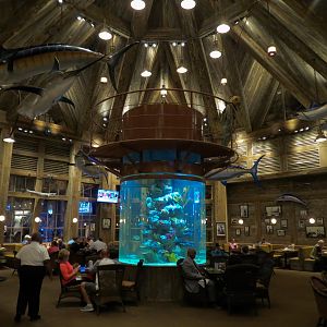 Memphis Bass Pro Shop - Saltwater Aquarium in Restaurant