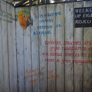 Parrot mural