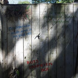 Parrot nesting mural