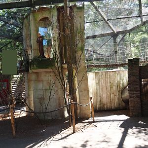 Parakeet aviary (with monk statue)