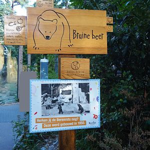 Brown bear signs