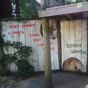 Brown bear education murals